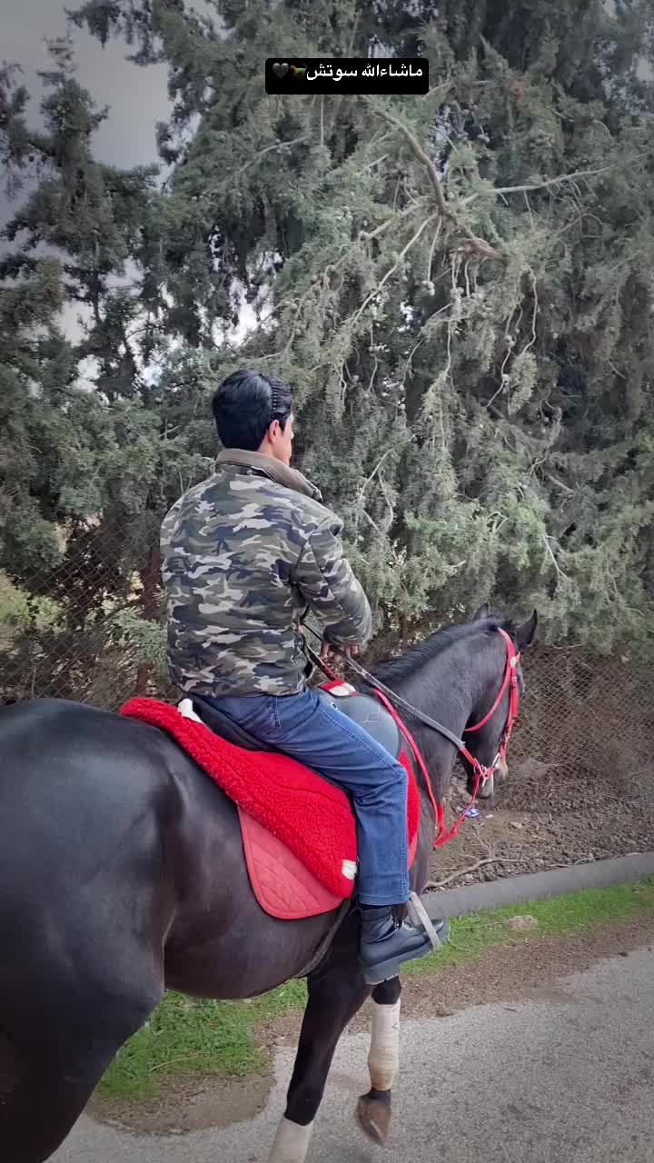 @عبدالله المطيري