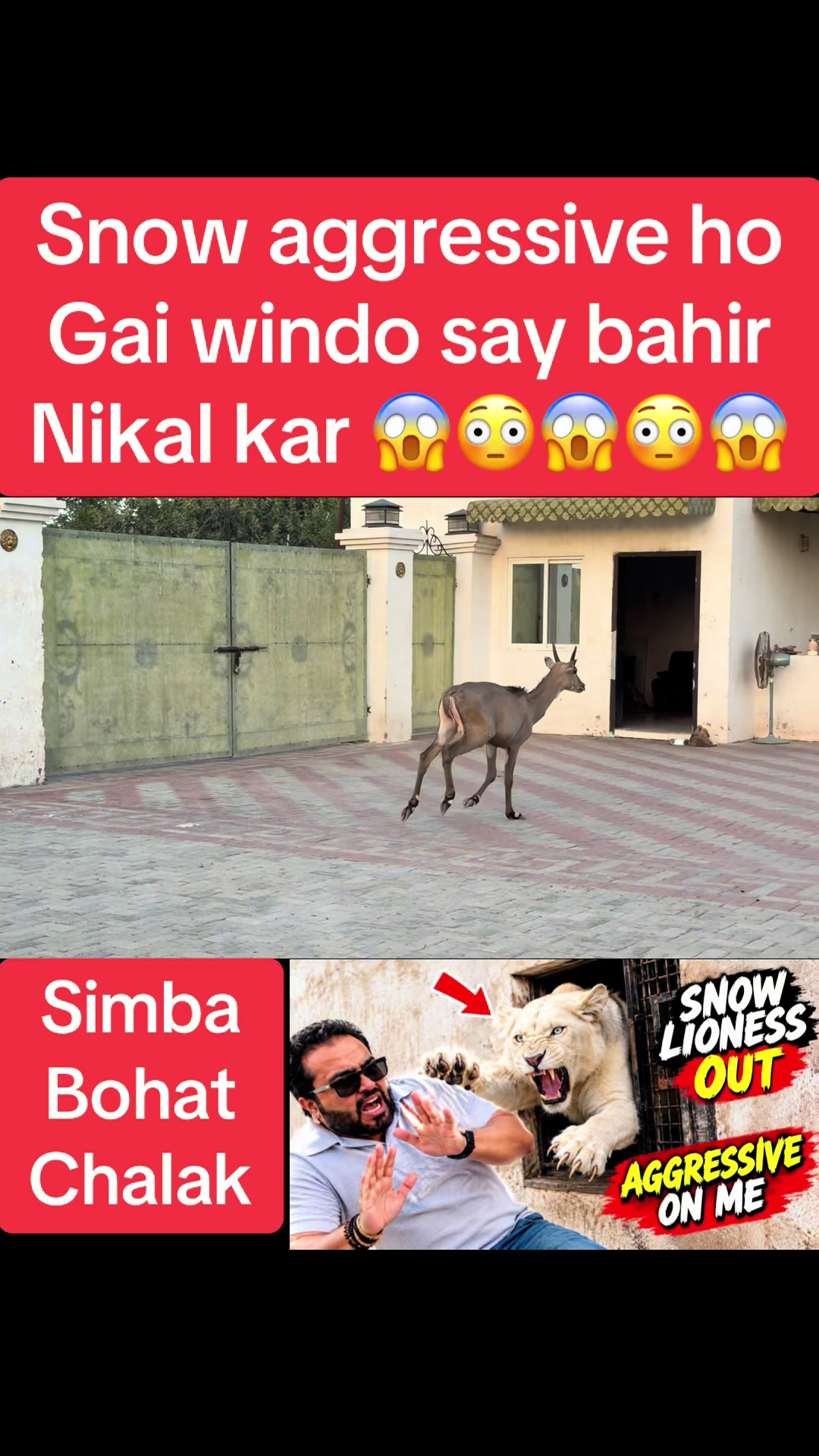 @Mian saqib