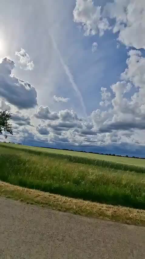@Mohammad Hasan
