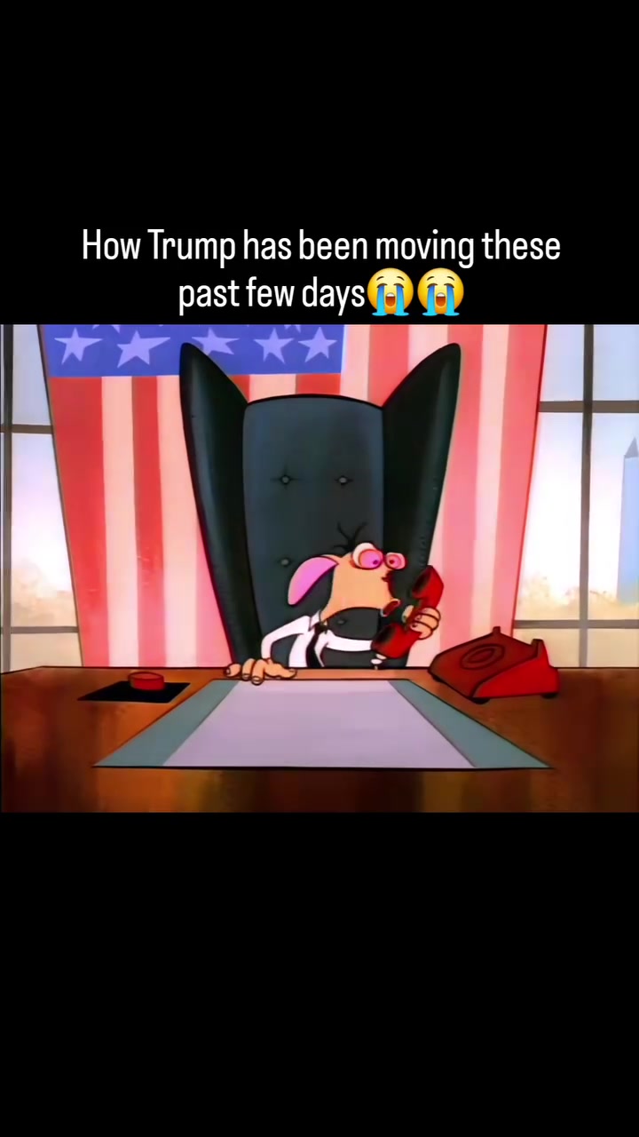 @cjking