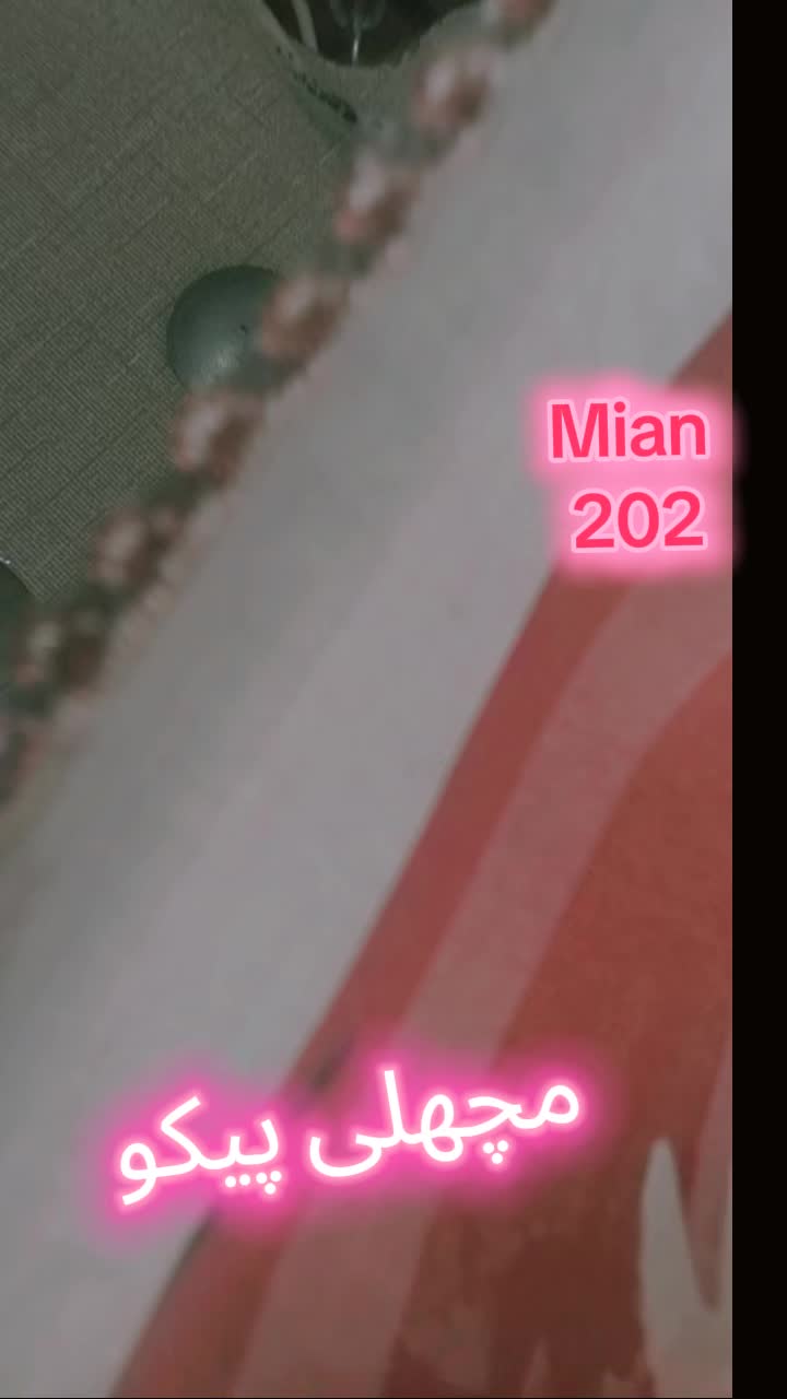 @Mian Qamar 202