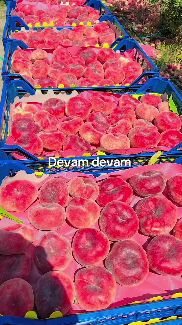 @YUSUF CİKE ÇAVUŞ