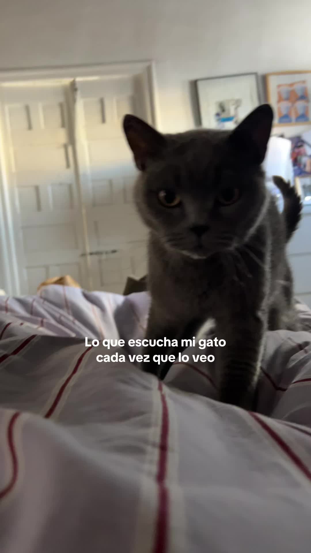 @Manuela