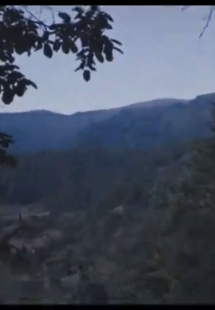 @ᛉ