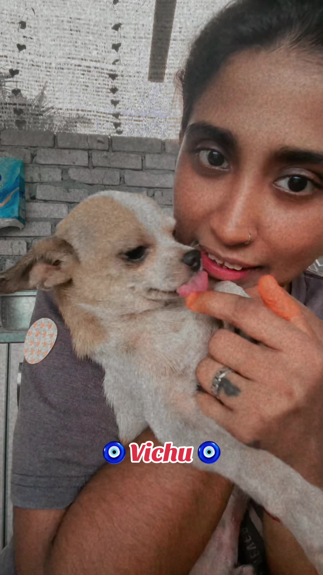 @Daachu - Sheni Petz Home