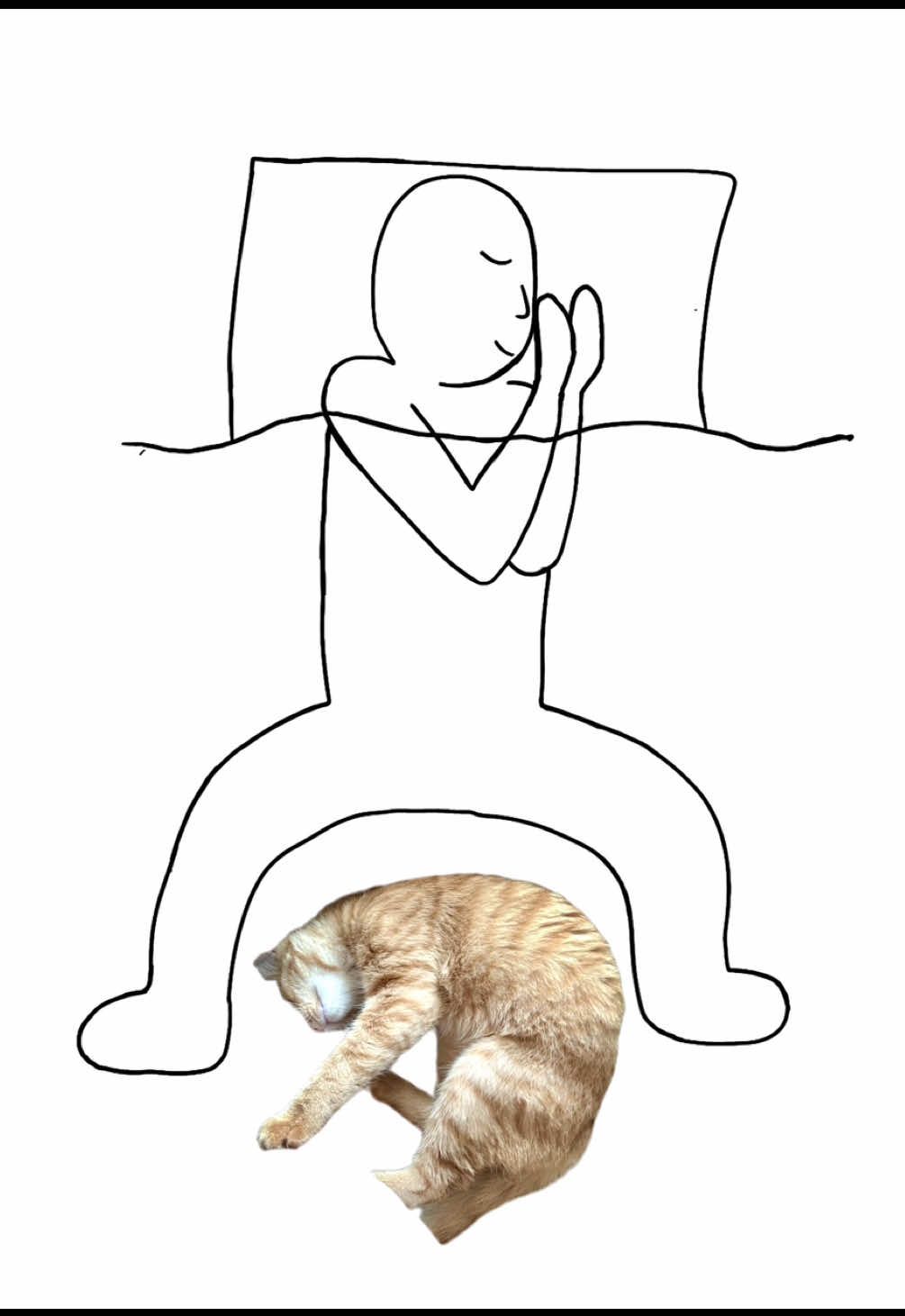 @MyStrayCheese