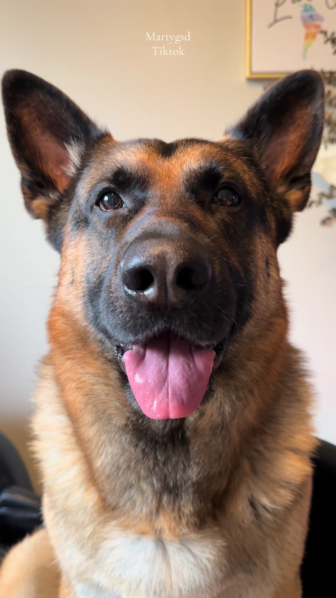 @Martygsd