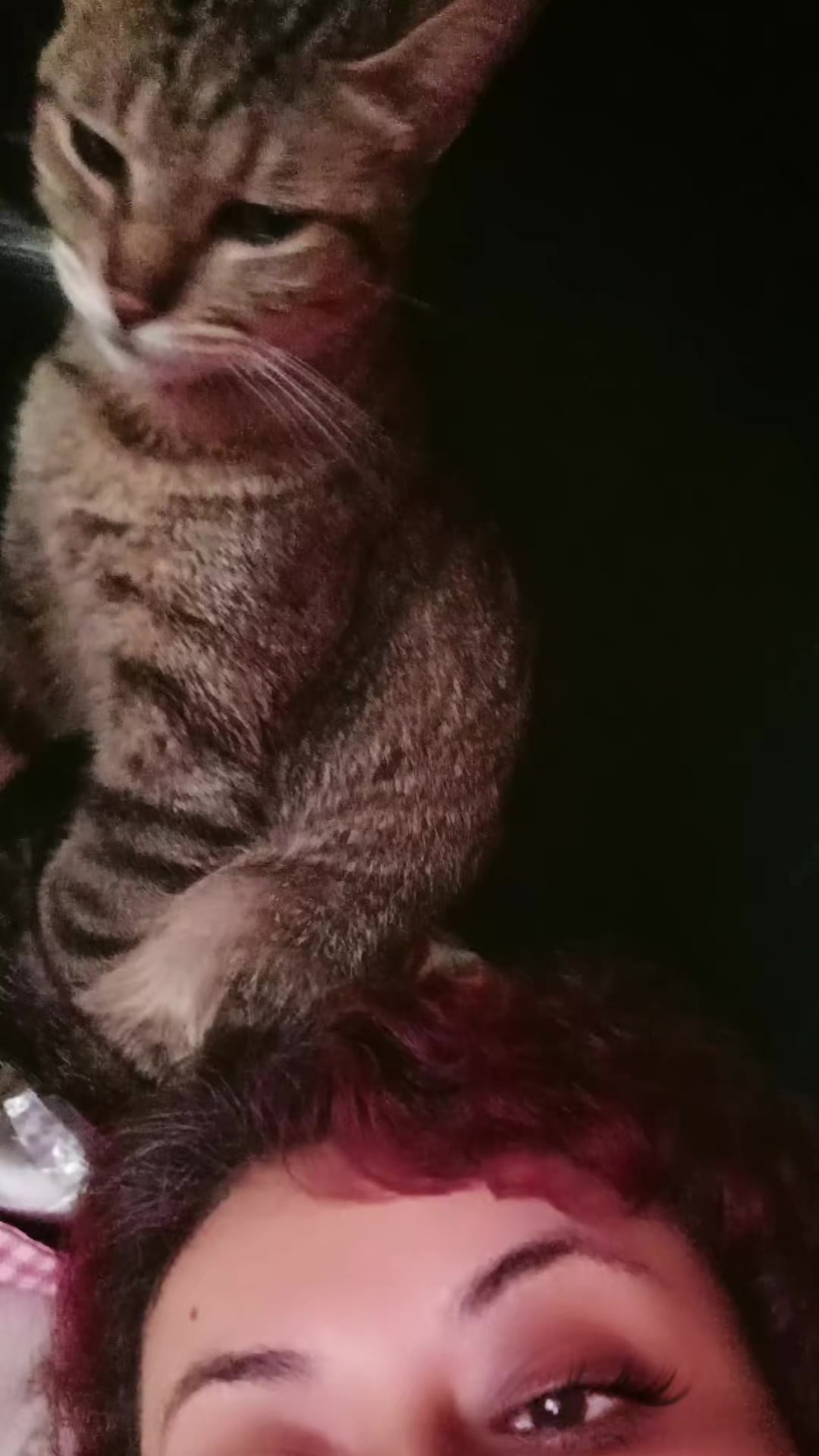 @🦉👻𝗠𝗜𝗟𝗔𝗡𝗘𝗦𝗔🎙️