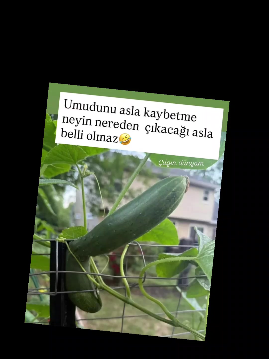@🇹🇷RAHMETLİ🇹🇷
