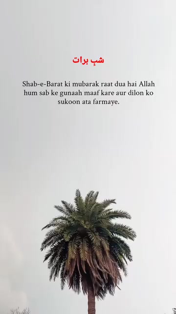 @Mr BiLAL...❤️