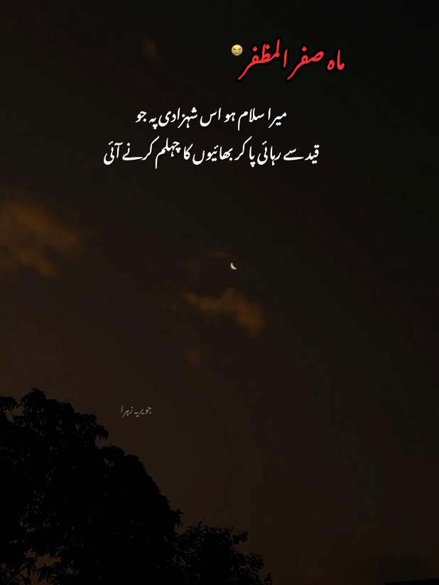 @hussaini vibe