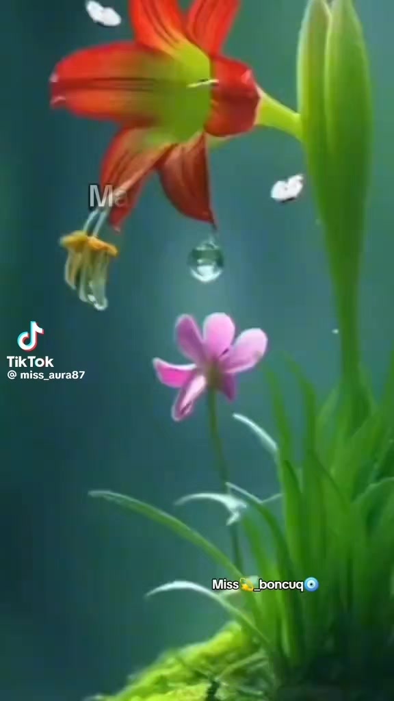 @FAYDALI MƏSLƏHƏTLƏR