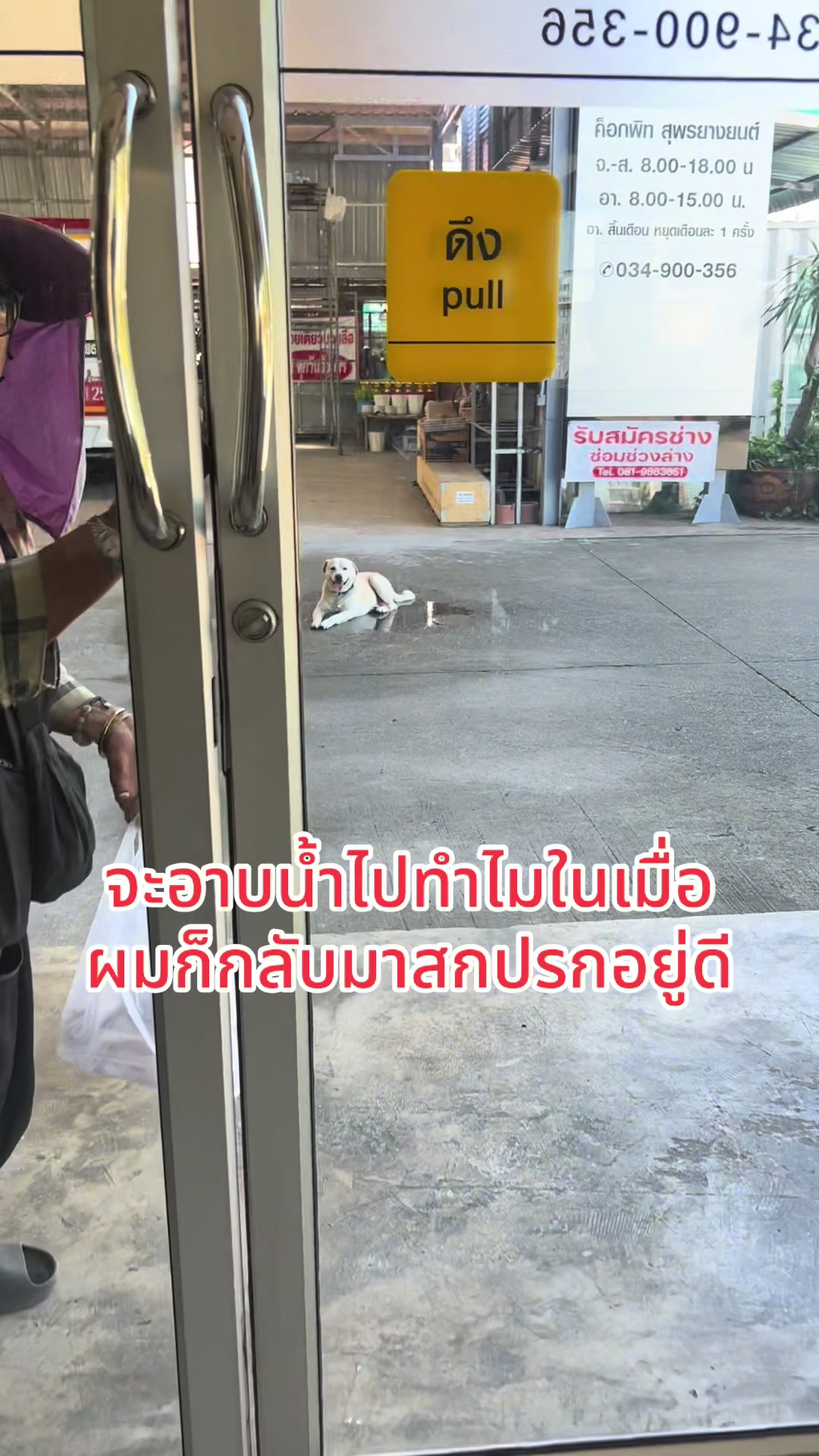 @มะลิตาฟ้าาาาา🐕🐶💫