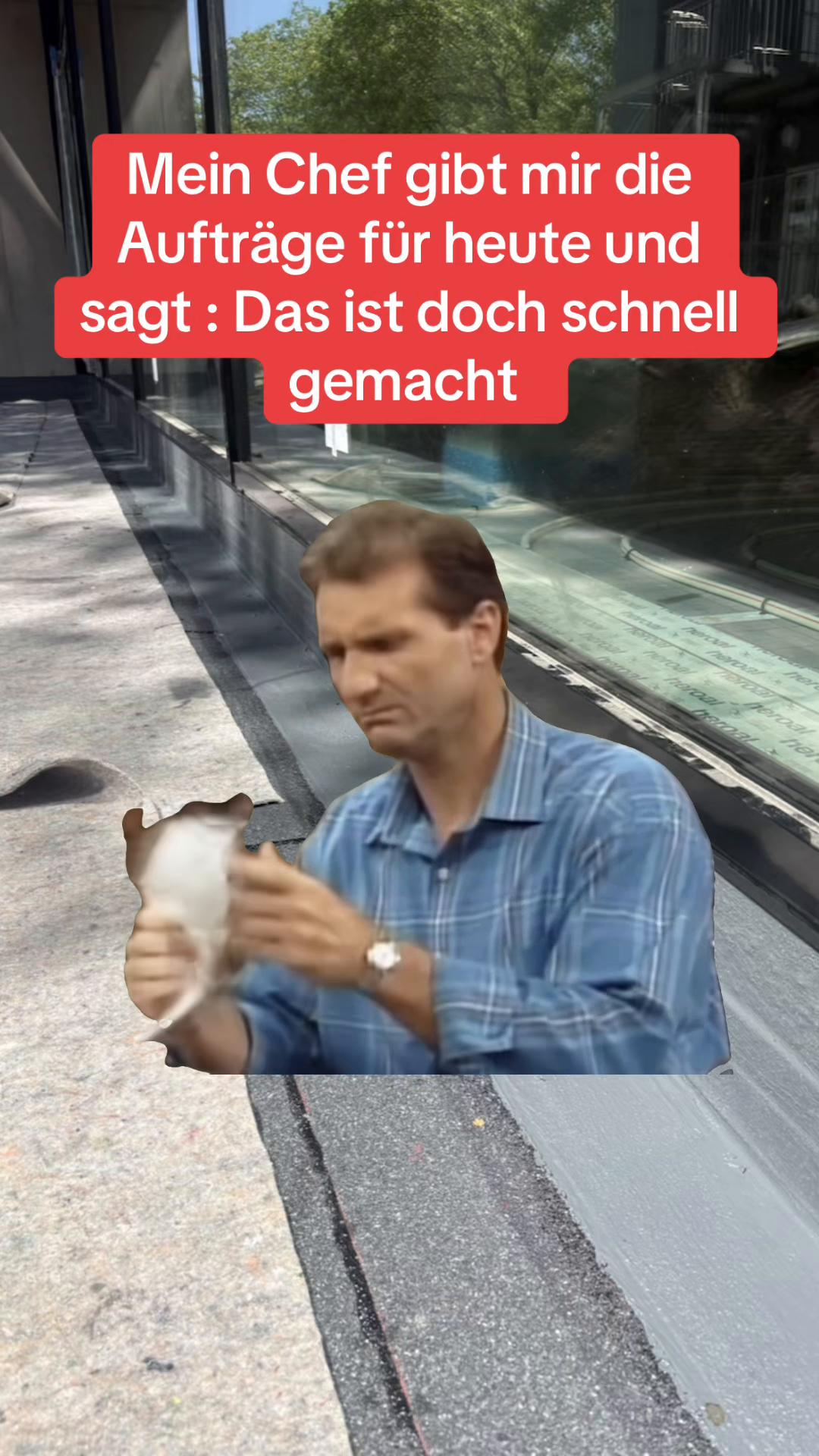 @Dachjockel