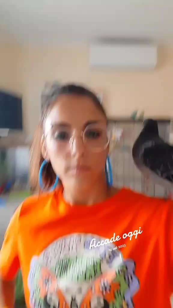 @Rosita Amici