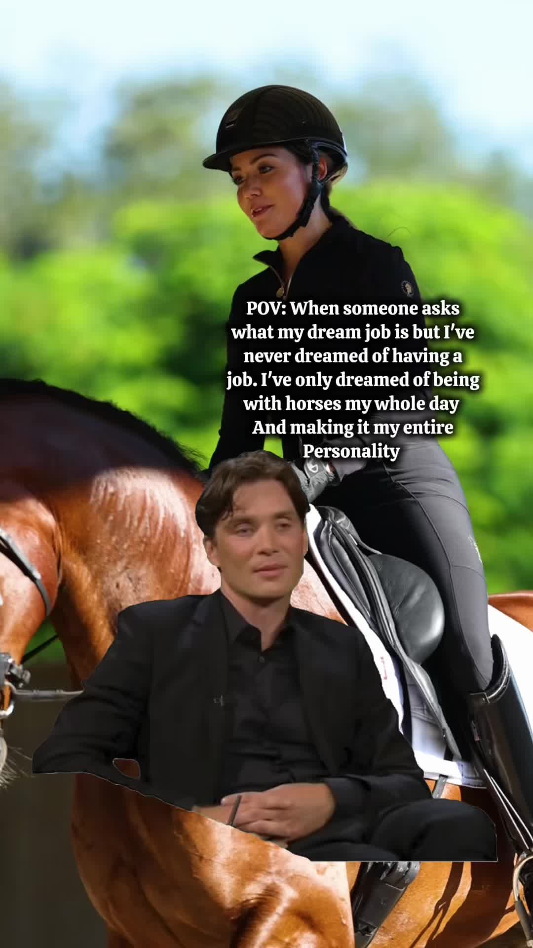 @Sync Equestrian