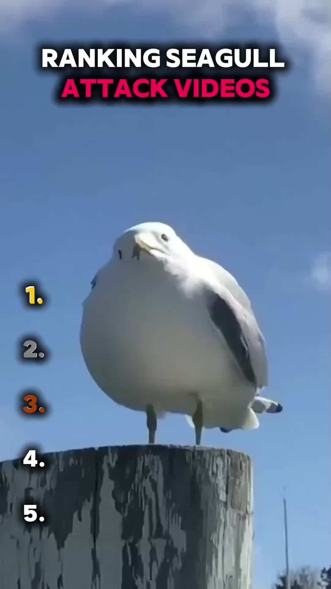 @Elguartifunny