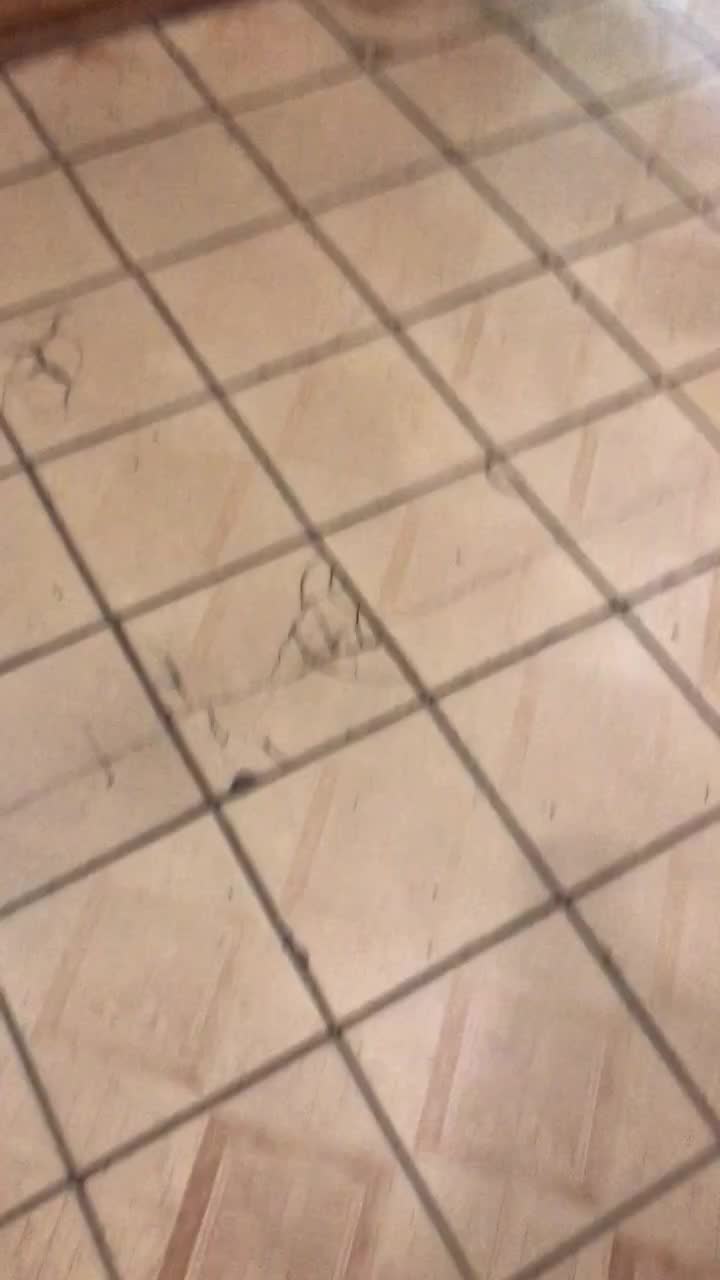 @Денис Шитый