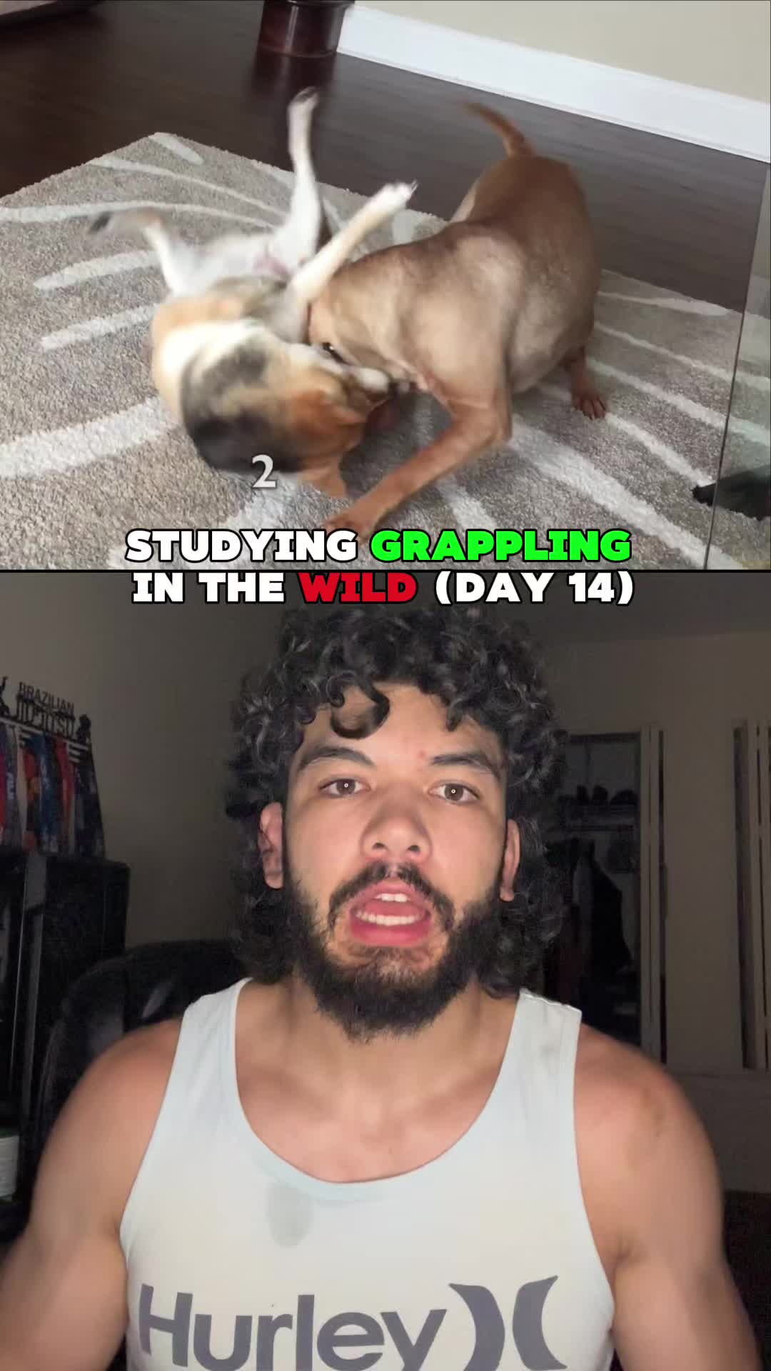 @joshmedvinsky.bjj