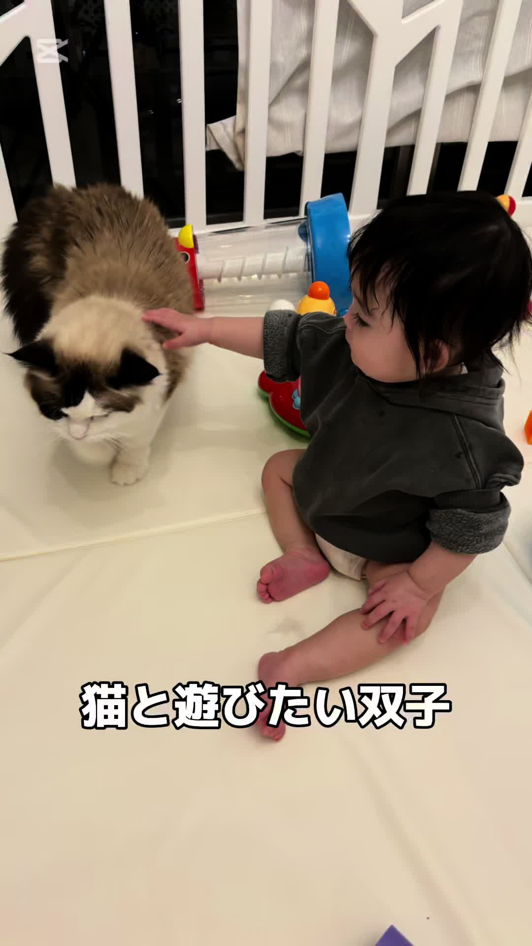 @kuramomo