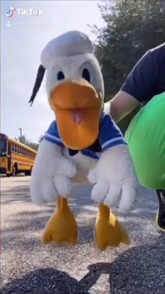 @donaldducc