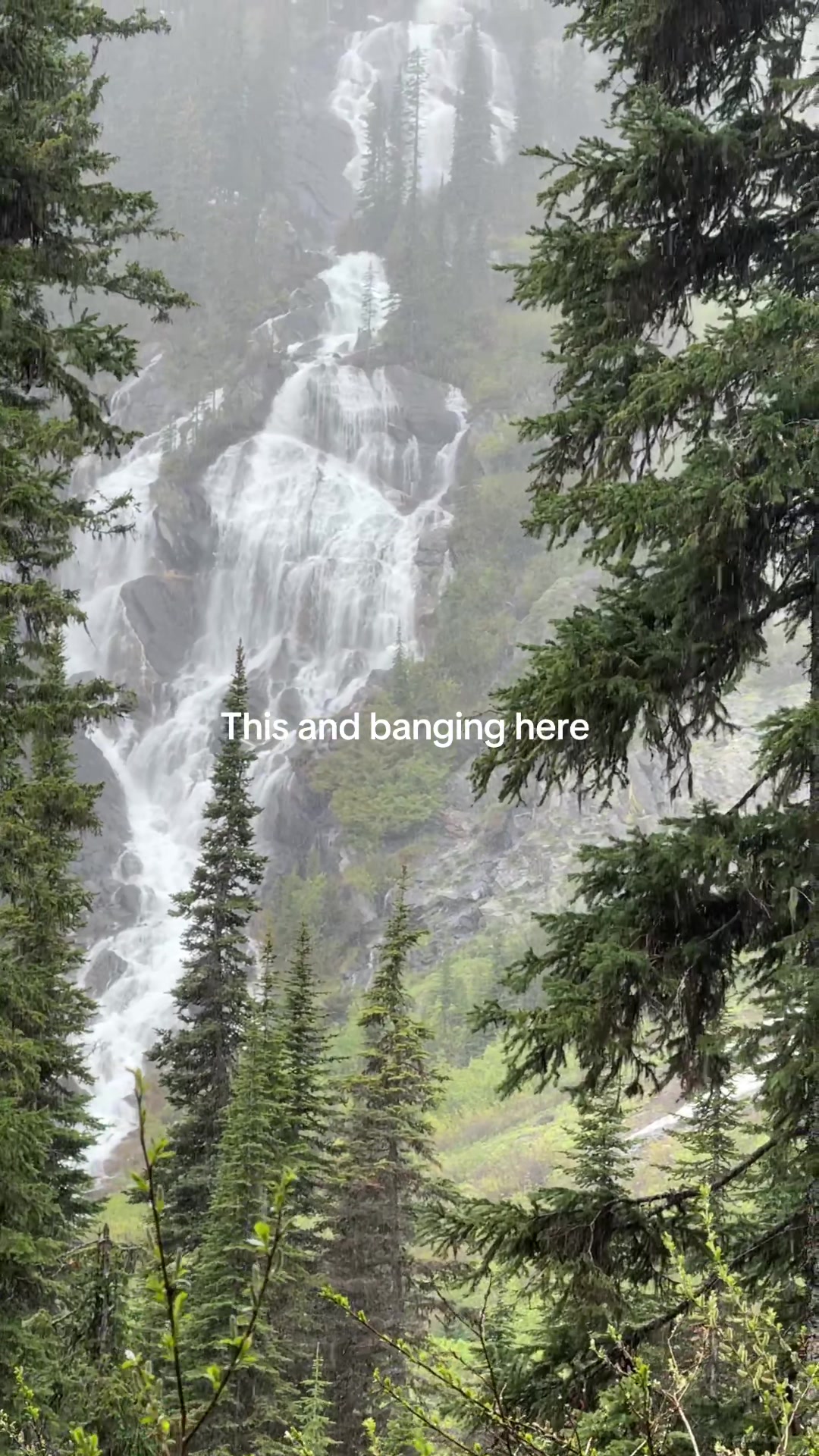 @Hike with Meg🌲🏔️🥾