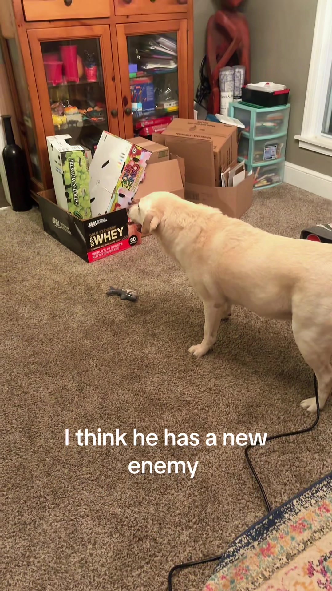@Eerooooooo