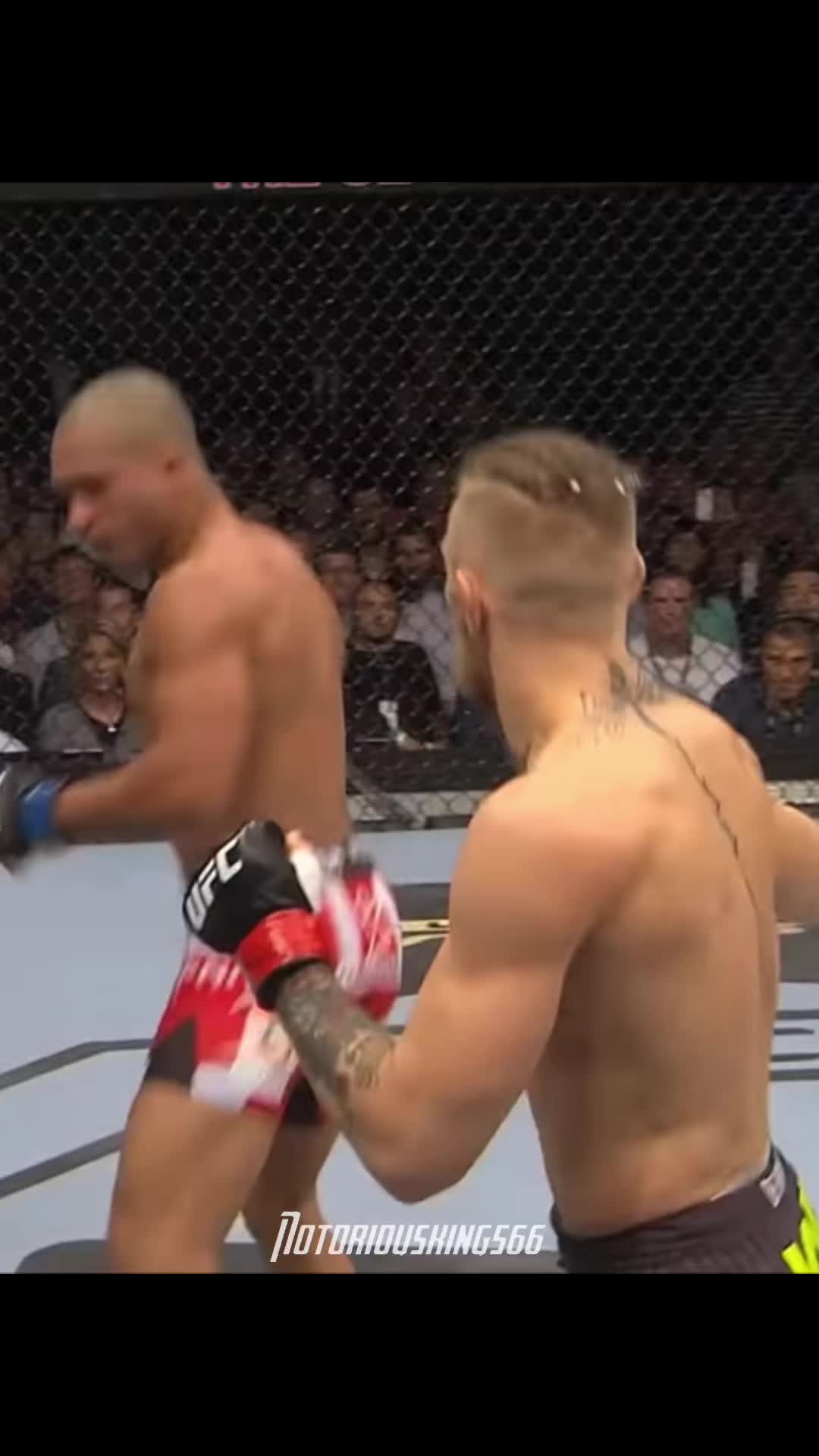 @Conor Mcgregor