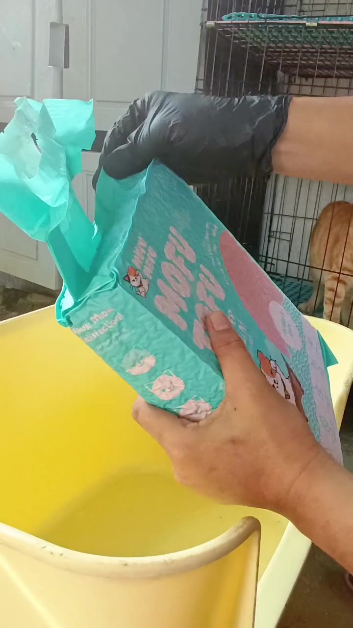 @gagaLegacy