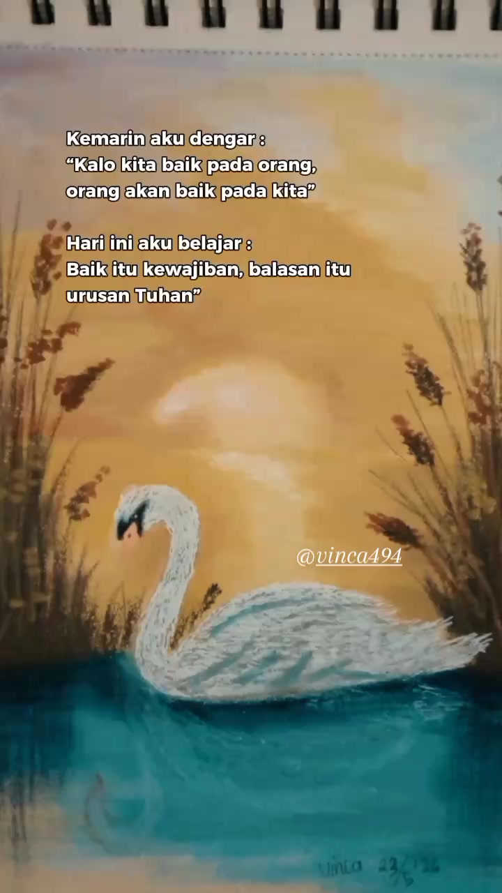 @vinca494