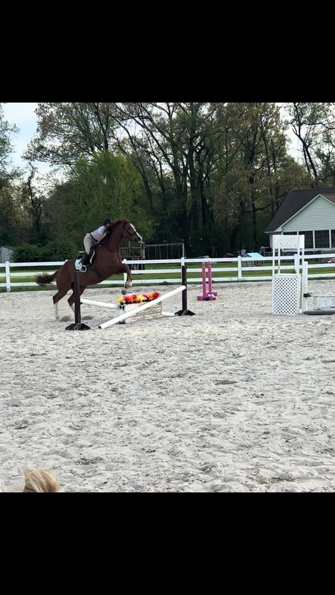 @Aftyn 🐎