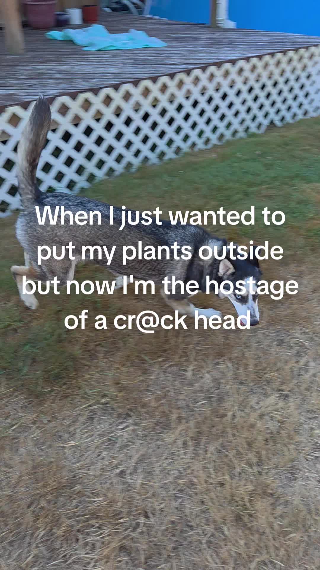 @Chicka