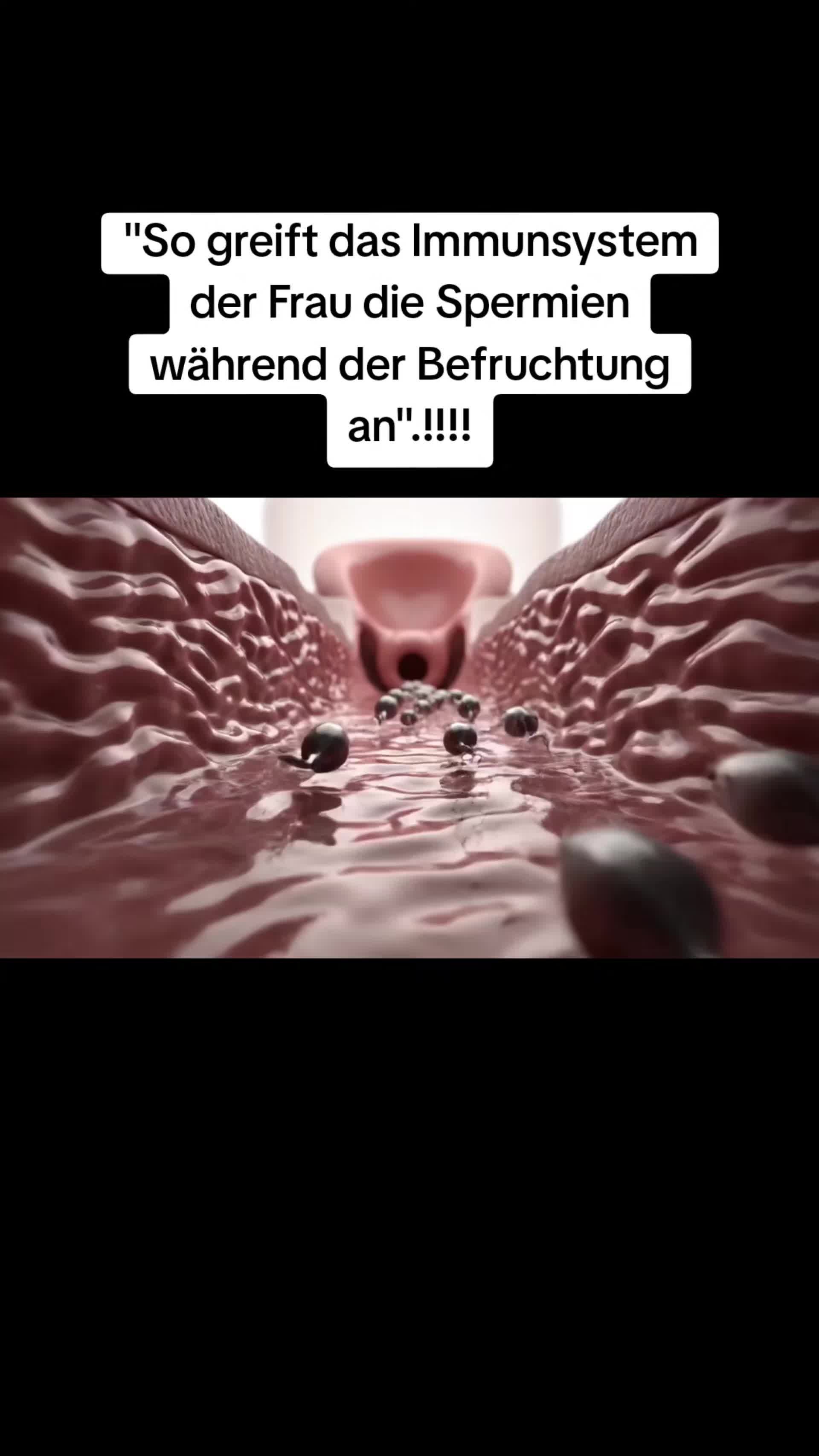 @smartdoctor