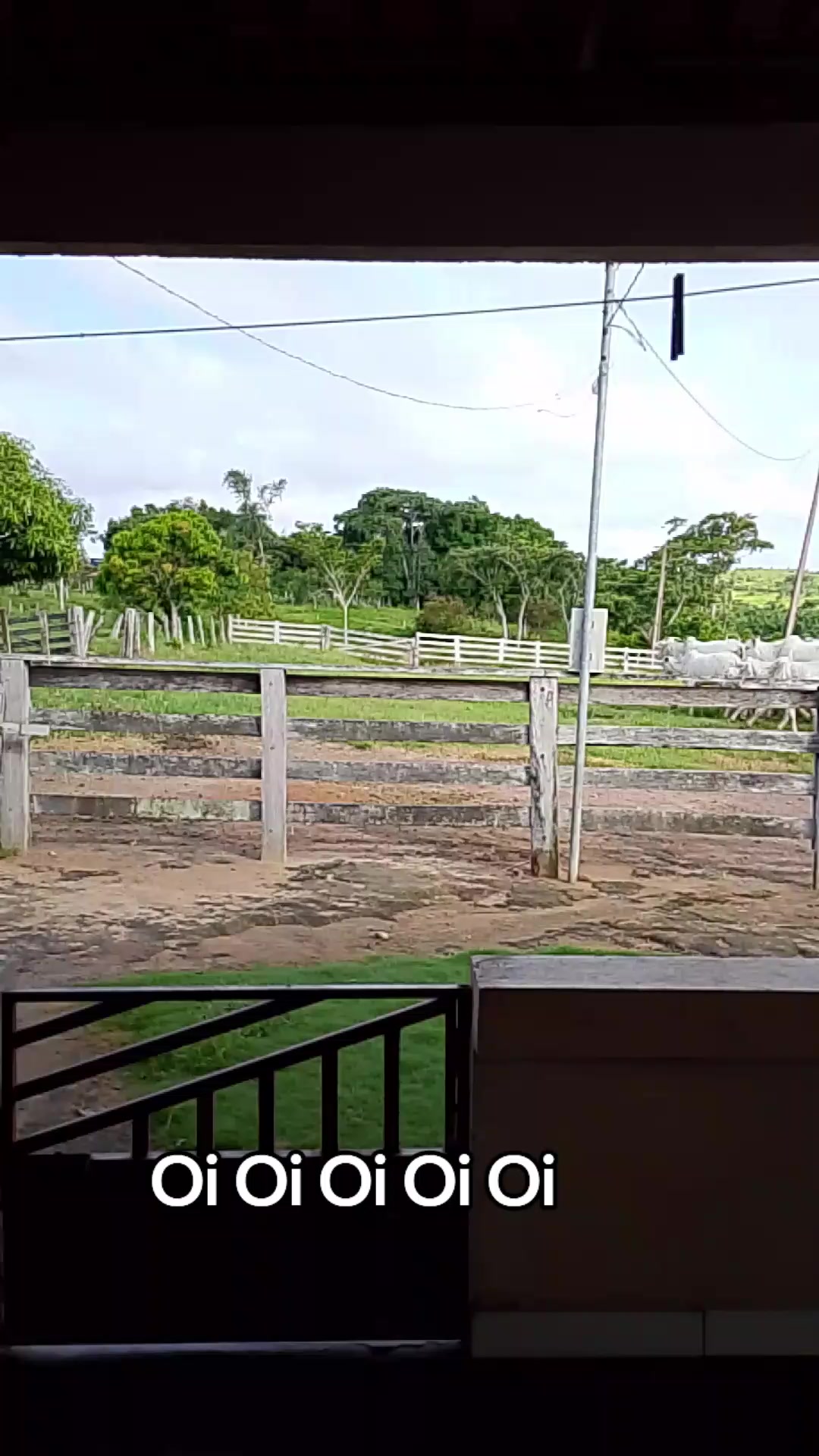@Menina&Da roça🤠