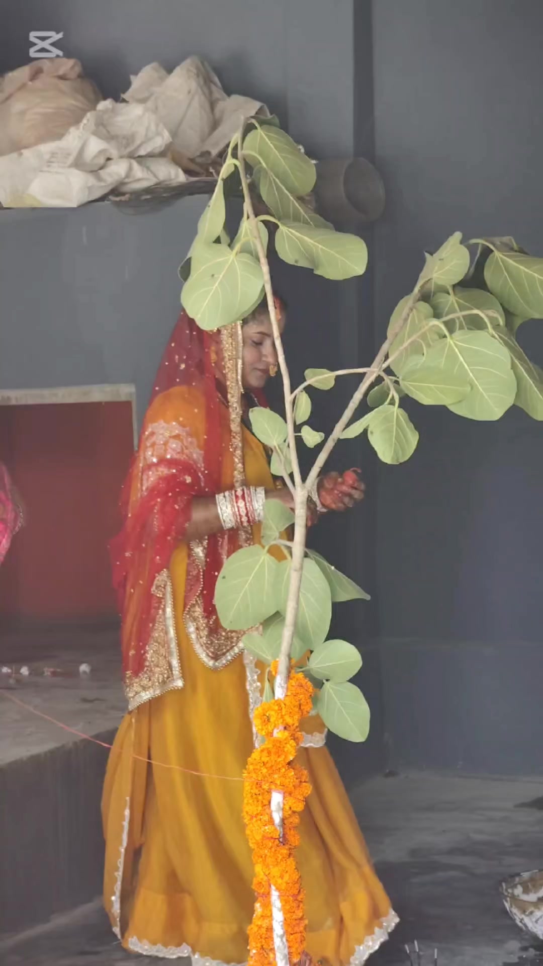 @Rupa Yadav