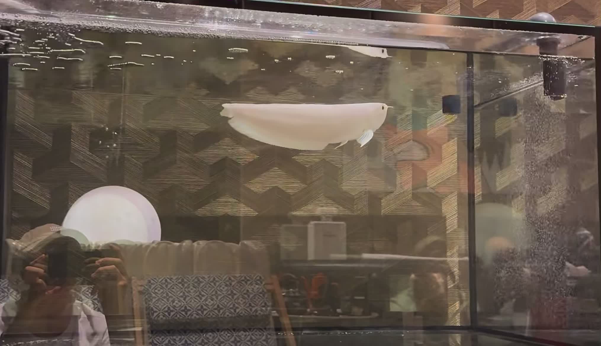 @Eyrie