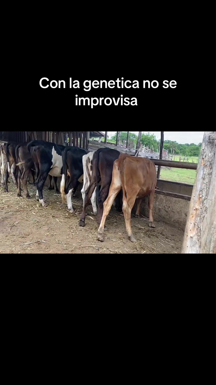 @Darlin Rodriguez Val