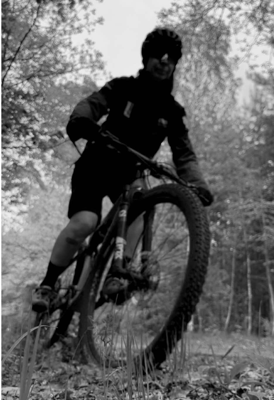 @Agnieszka Ignaszak bikejoring