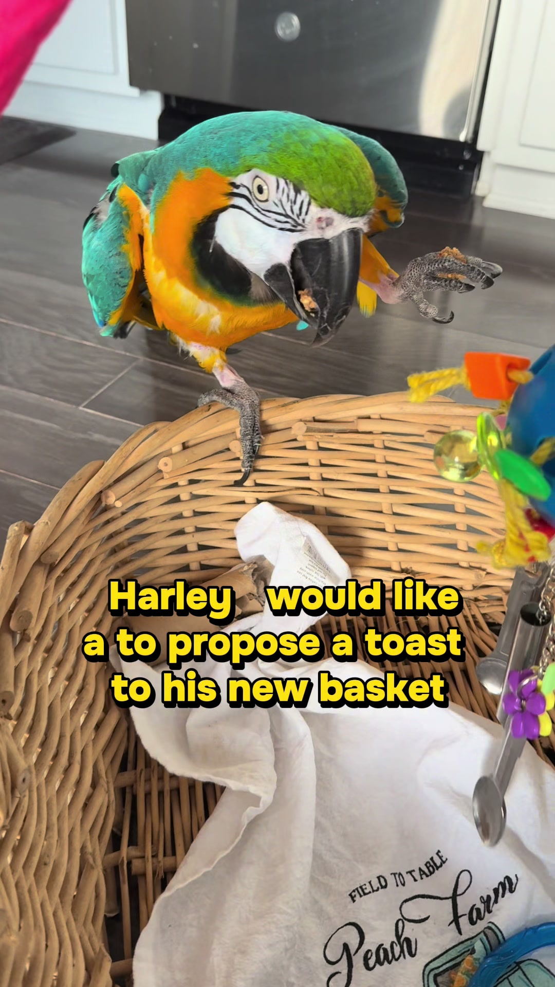 @Harley D
