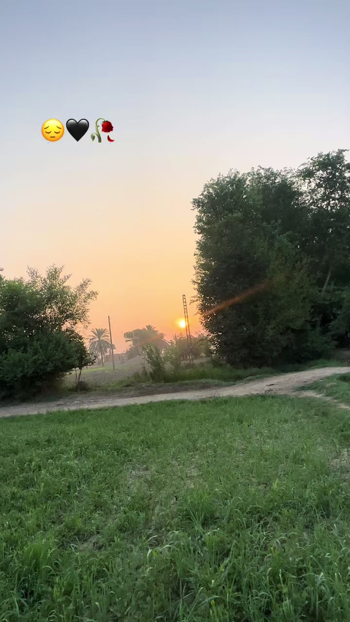 @🕊️ کا شی 💫