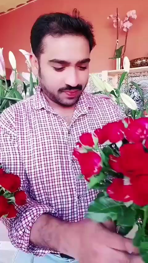@aliprince71000