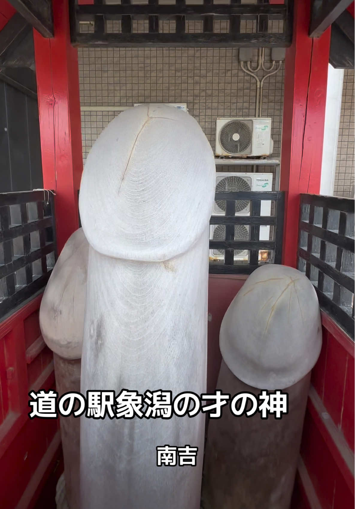 @モミゴンJK&南吉