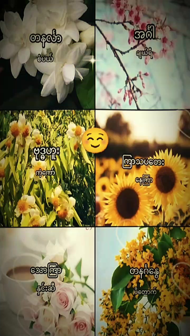 @đMđđđ