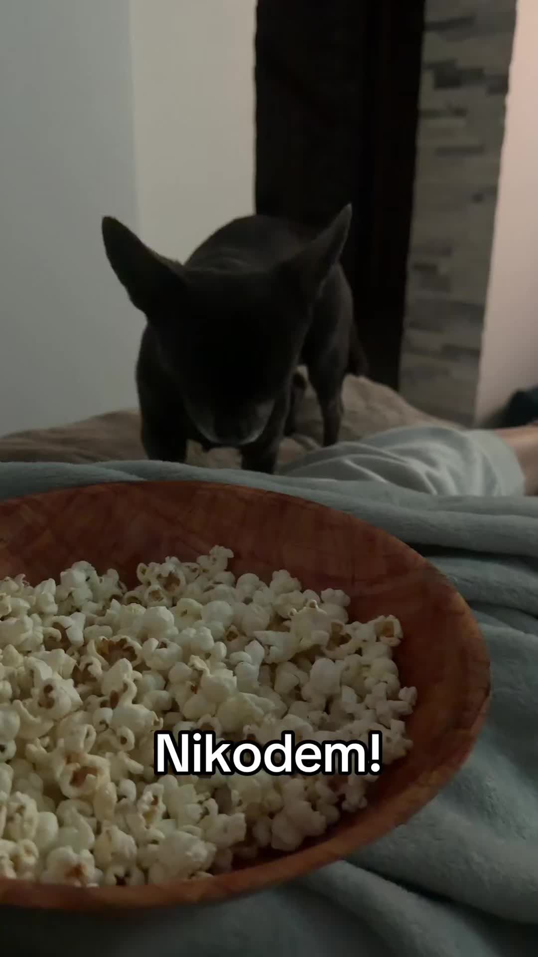 @Marlena Marli Załoga