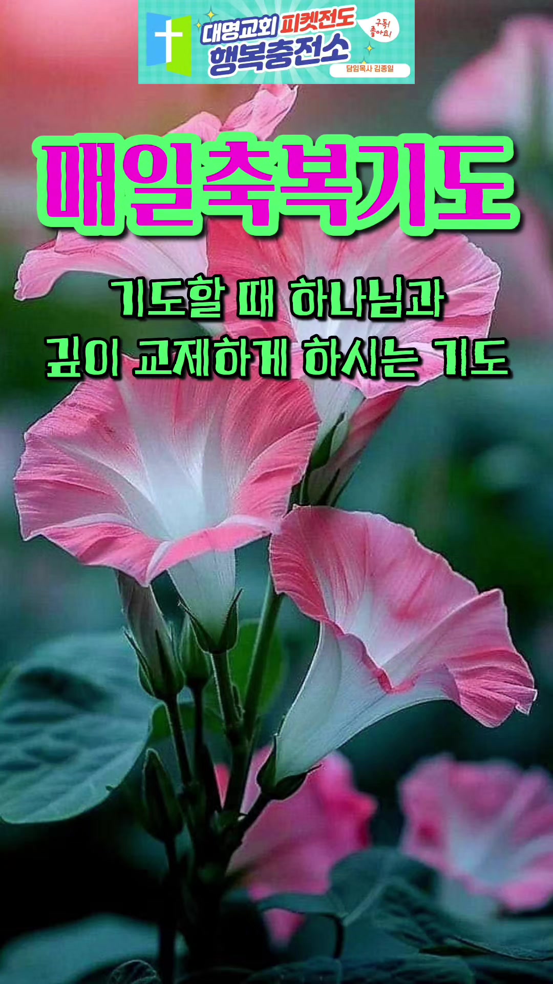 @피켓전도 김종일 목사