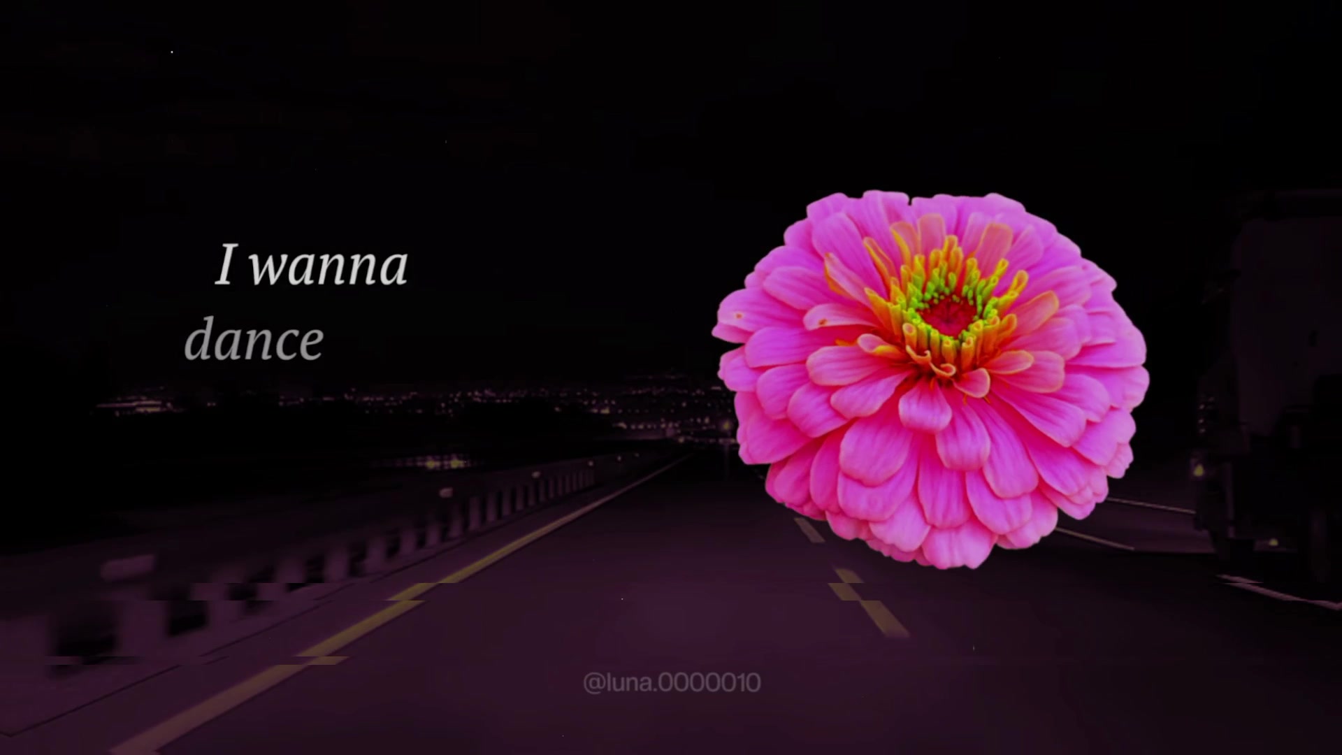 @L U N A ☾ ⋆