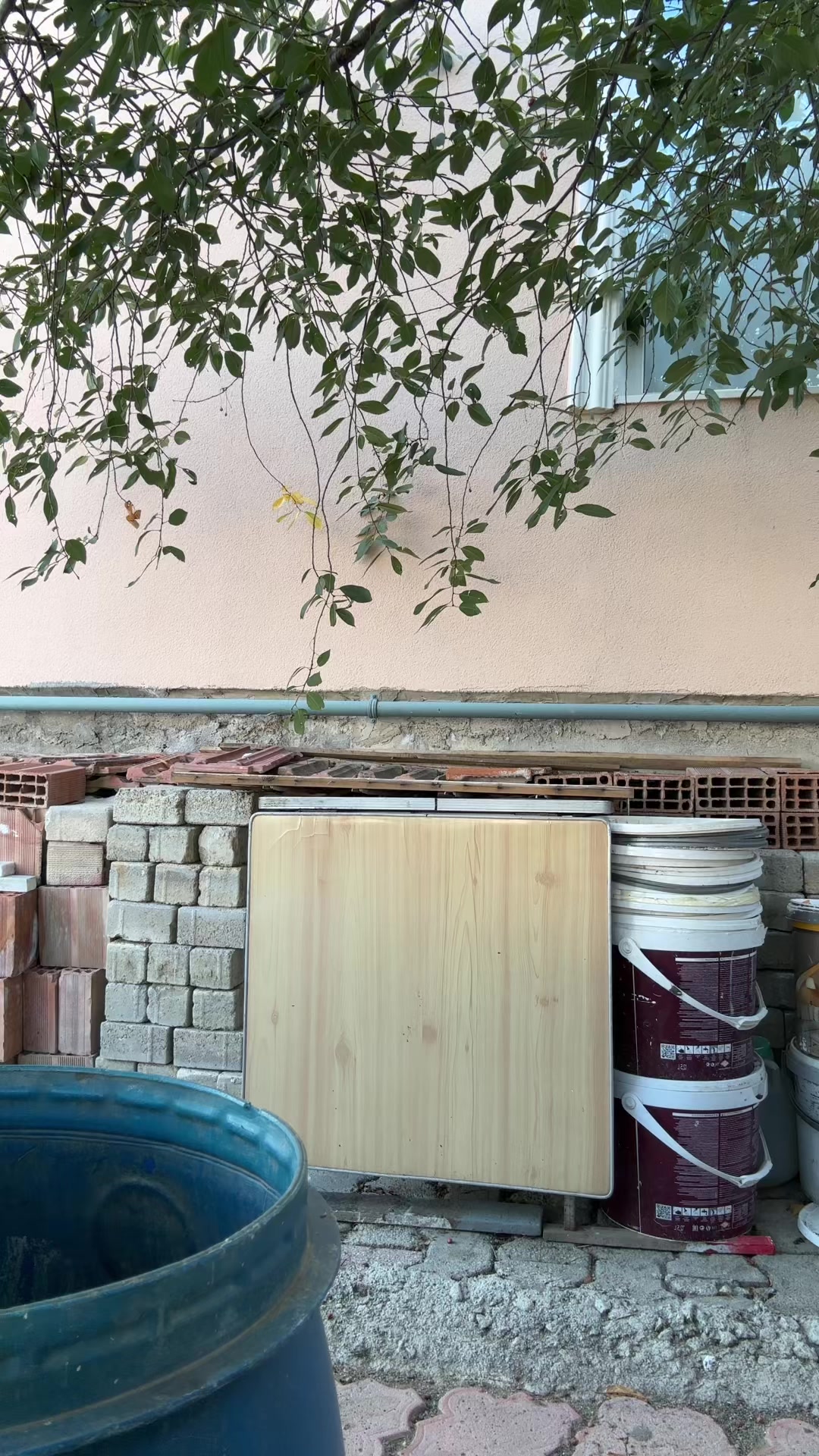 @🐸ELOŞUM