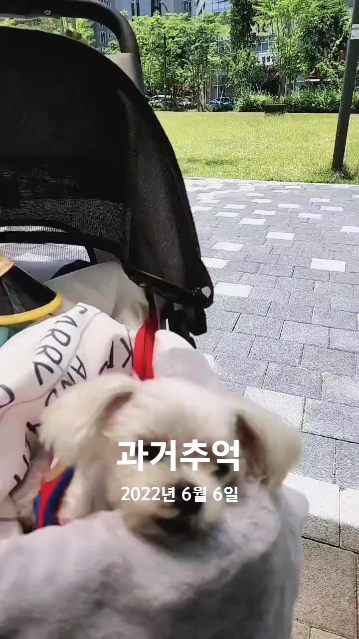 @초롱맘