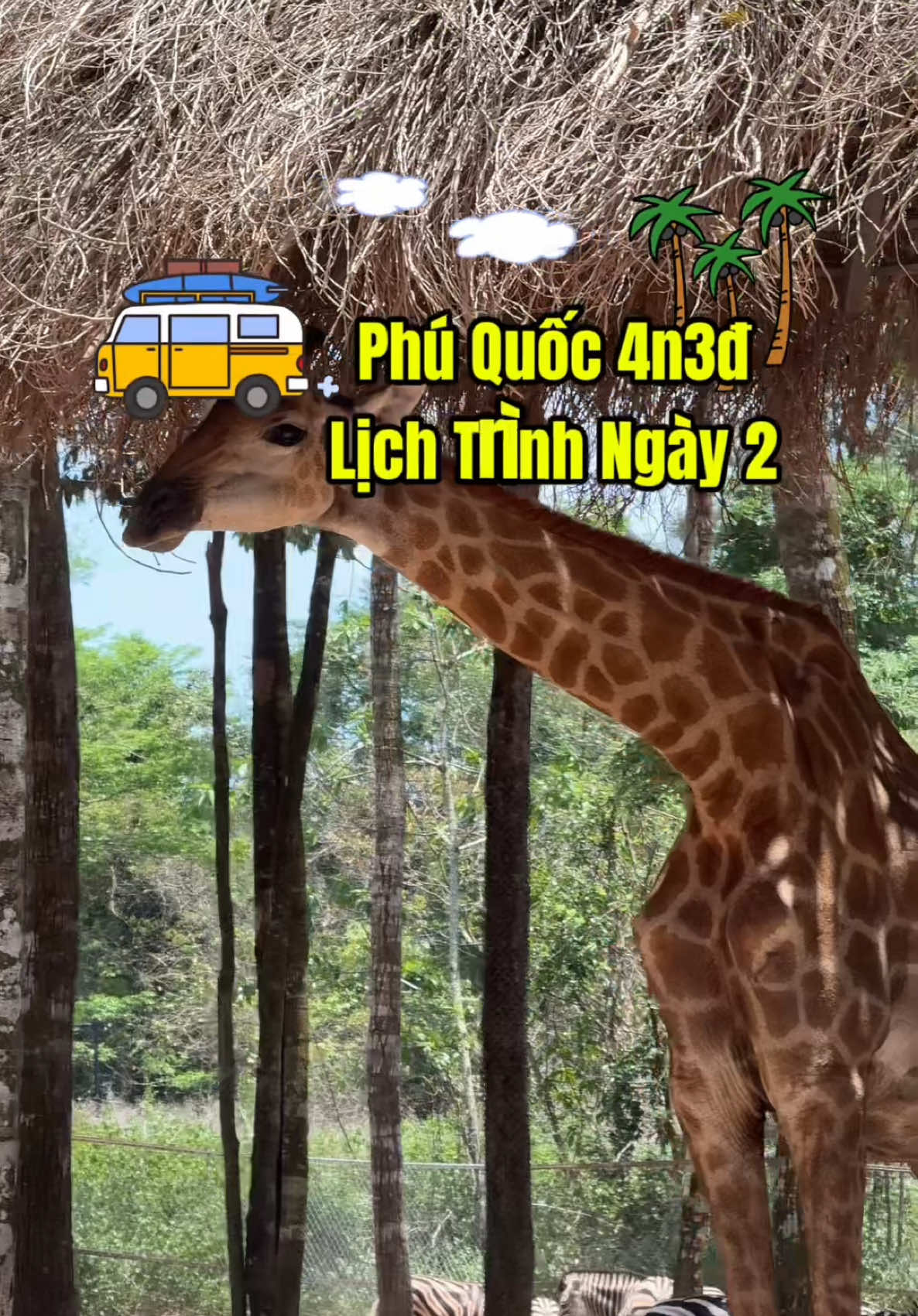 @B&eacute; Rồng
