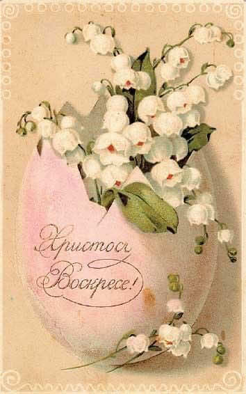 @пнмрва